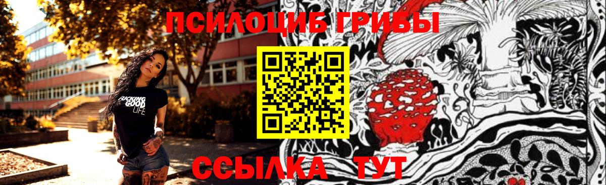 Галлюциногенные грибы Cubensis  Вход с VPN  Печора  Галлюциногенные грибы мицелий 