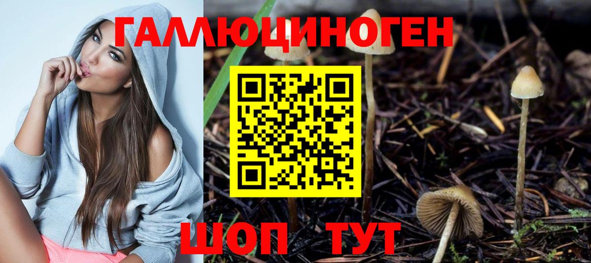А ПВП Печора